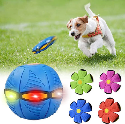 Brand Name™ Dog Frisbee